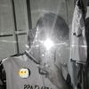 fizzsec12