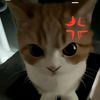 yoursofitiegirll_38