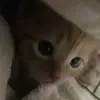 chiimaaa_