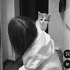 bts_forever_962