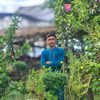 user414092261