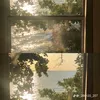 phuongtrang_214