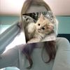 ycyfuy_4455