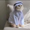 alhabib_agilaldjufri
