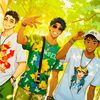 samba.boiro015