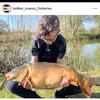 georgefooty6