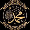 ali.mahamat281