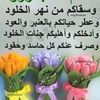 yabtasim9988