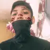 sander_h1