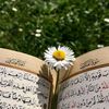 user12225395102961