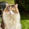 catlover25012024