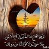johina.mansour