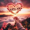 arslanali0035