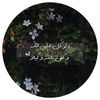 nour_hane002