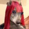 bunniexkitten1999