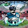 eagles_lover_fan