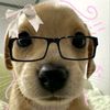 amy045754