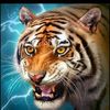 uddin.jamal84