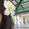 sanahy57