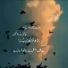 .salmanali0