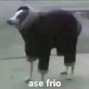 ase_frio