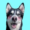 snowwolfneo