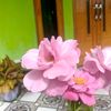 abiza522