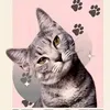 luna.1vy