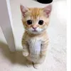 _.bunnywony_