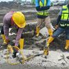 muiz.hilti