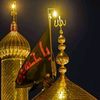 talhamalik__2