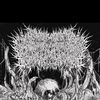 nergal0736