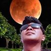 yan.roy6