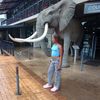 that_girl_sinele