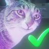 agentchompstinker