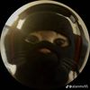 gabrielventura681