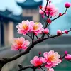 dieuphuong234_