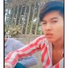 user29263505102220