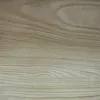 ptragn006