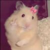 roz._.mary75