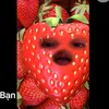 tomatopancake1