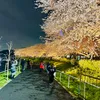 jou20130228