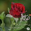 karim4411