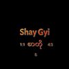 shay.gyi04