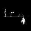 alawad_fatima