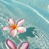 user4001853350730