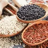 Premium Brown Rice Organic