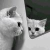 arsyyyy011