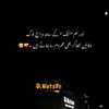 dilwale1logo0