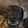 raphoudelahess